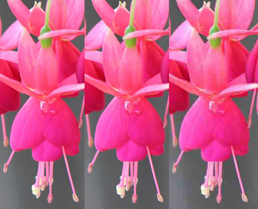 image-optimisation-comparison